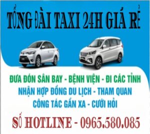 Tổng Đài Taxi Sân Bay Tân Sơn Nhất Giá Rẻ 5